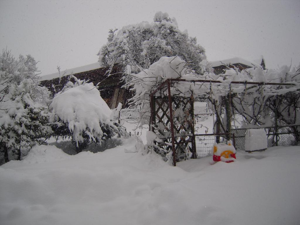 Agritur Widmann *